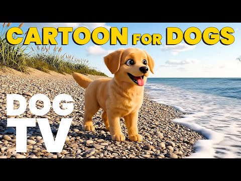Cartoons for Dogs 🐕 Anti-Boredom Lighthouse Island Adventure for Dogs🐾 Dog TV🐶Calming Music for Dogs
