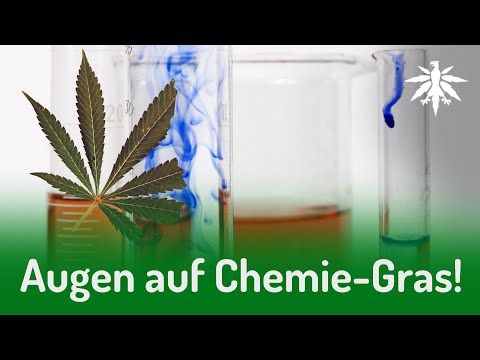 Augen auf Chemie-Gras! | DHV-News #277
