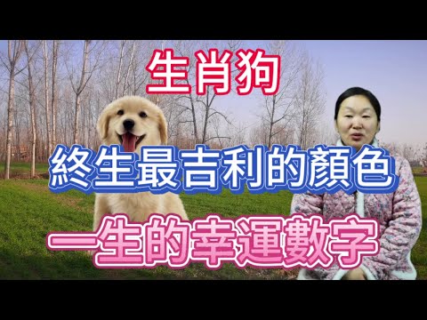 屬狗幸運數字