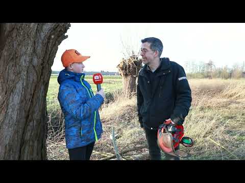 Knotwilgen dag Summers Landschap Gezandebaan Someren Eind 2026