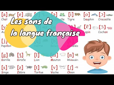 Phonétique : Les sons de la langue française