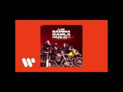 Samma gamla vanliga (feat  Branco & Kamelen) (Remix) (bass boost)