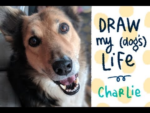 Draw my (dog's) life - Charlie