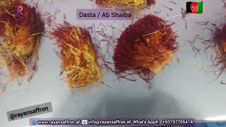 Saffron Dasta/Abu Shaiba