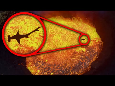 Aceste Animale Bizare TRAIESC in Vulcani