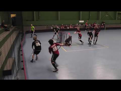 Maalikooste SCH - HaKi Visa