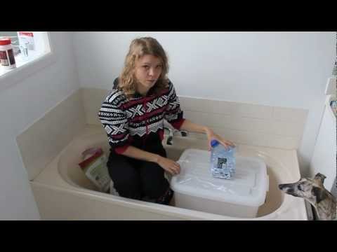 YouTube video about: How to humanely euthanize a rabbit at home?
