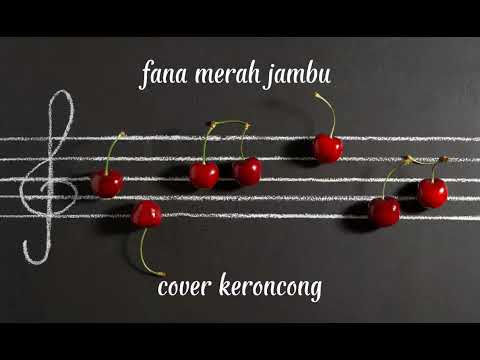 fana merah jambu cover keroncong
