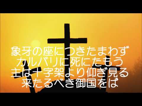 園芸 キリストのとげ、いばらの冠、とげのあるパリウレ、アルガロン