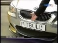 BMW M5 золотая Эрик Давидыч 