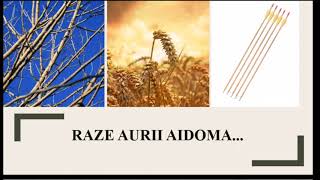 Atelier de creație: Descrierea unui anotimp. Primăvara.