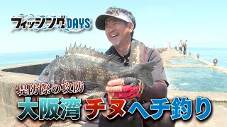 「堤防際の攻防！大阪湾チヌへち釣り」