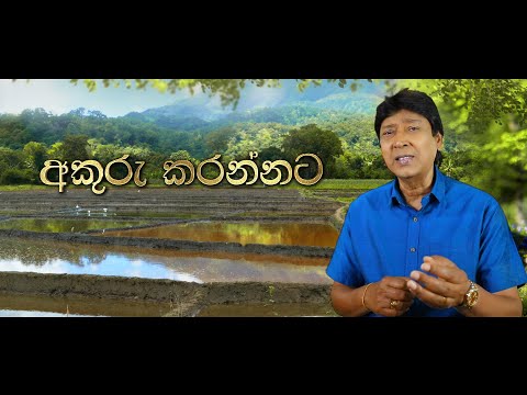 Keerthi Pasquel - 40.Akuru Karannata (අකුරු කරන්නට) Official Lyric Video