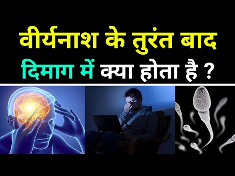अपने दिमाग को बचा लो ब्रह्मचर्य से 🔥 | Brahmacharya Brain Lessons