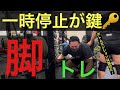 【脚トレ】一時停止が鍵の脚トレ #ボディビル #スクワット #トレーニング #トレーニング方法 #脚トレ #谷野ジム #わとチャンネル