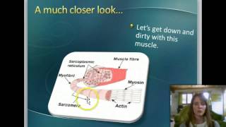 Biology- Cells, Tissues and Homeostasis