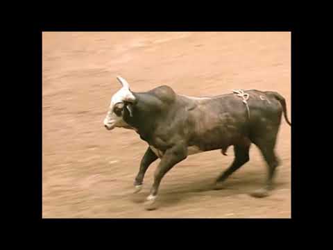 Hard Copy bucks Ross Coleman - 00 PBR Ft. Worth