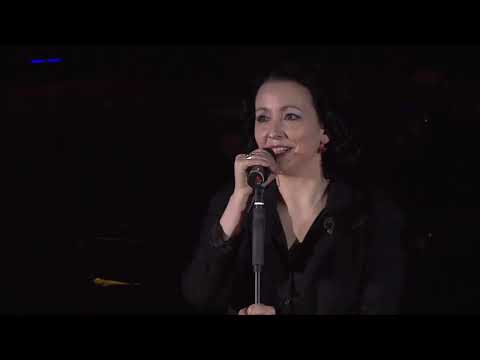 Schiller - Don’t Go (Live in Hamburg) feat.  Kate Havnevik