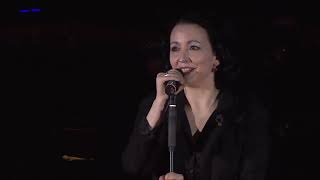 Schiller - Don’t Go (Live in Hamburg) feat.  Kate Havnevik