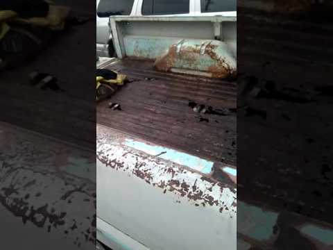 Thumbnail for Bring old cars back to life 1966 ford 100 sitting for fifteen plus years by Car