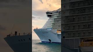 Oasis of the Seas 🛳️ #like #share #comment #subscribe #cruiseship #cruise #vacation #shorts #short