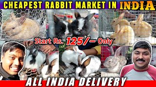 Cheapest Rabbit Market In INDIA | Belgium/Russian & Indian Rabbits For Sale