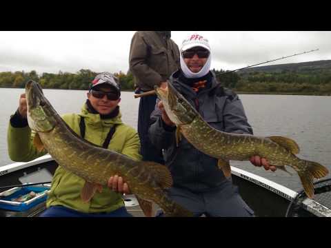 Pike Fishing in Ireland