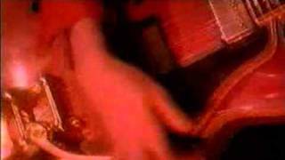 Suede  - Pantomime Horse