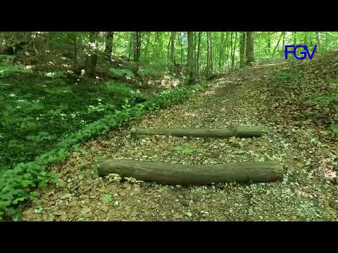 Harzer Grenzweg-Wanderung von Walkenried nach Zorge