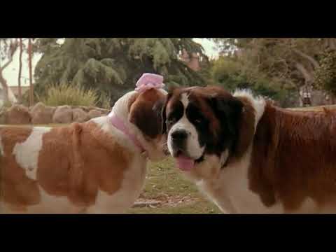 beethoven 2nd (1993) - beethoven meets missy