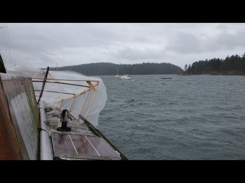 My First Big Storm - Sink or Swim 22