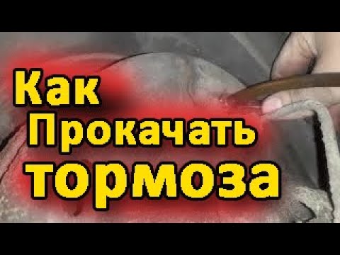 Прокачать транзит