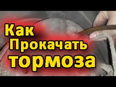 Как прокачать тормоза на Форд Транзит: лучшие способы