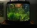 26 Gallon Bow Front Aquarium Lid