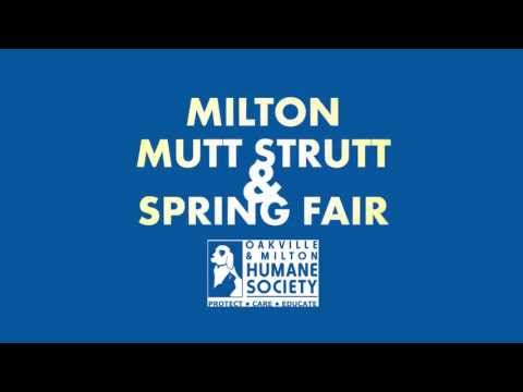 Boston Pizza - Milton Mutt & Strutt - Milton - 2-0675