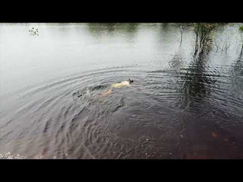 JBL Kolumbien Expedition Impressionen