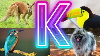 Animals And Birds Starting with K || Amazing  Animals Starting With K
