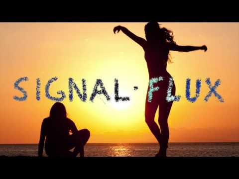 Signal Flux - War & Love