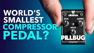 The World's Smallest Compressor Pedal??? Olinthus Pillbug!