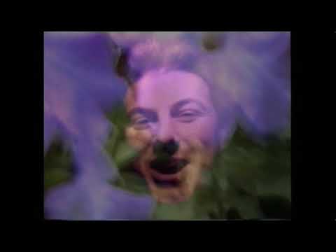 Underground Lovers - In My Head (1996)