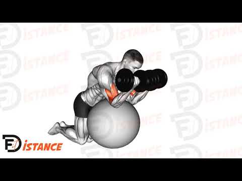 Exercice Curl incliné avec haltères sur ballon (Swiss Ball)