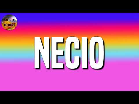 🎵 Reggaeton || Romeo Santos, Santana - Necio (Letra)