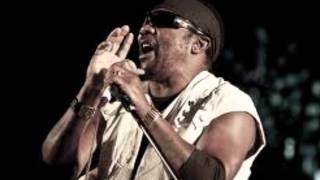 TOOTS &amp; THE MAYTALS - Do the Reggay