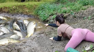 Girl Used Bait To Lure Fish Into The Puddle, Used a Pump to Suck Up All The Water, Caught Many Fish.