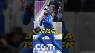 Jadeja comeback Odi World Cup  indian cricket team
