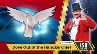 Dove Out of the Handkerchief | Magic