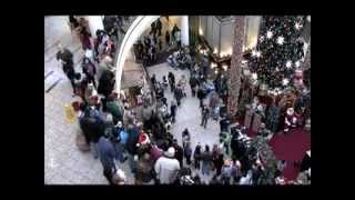 Flash Mob Christmas Carol at Mall - MUST SEE!