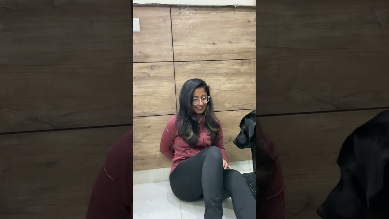 Petvit Calming Tablets | calm your pet in a natural way| Calming & Better Relaxation Tablets