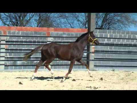 JH Stoiber Katja 2010