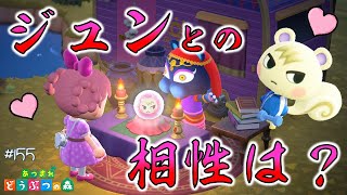 【あつ森】アプデ６日目！ハッケミィにジュンとの相性を占ってもらいました🔮✨ #155 実況